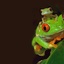 rallenet